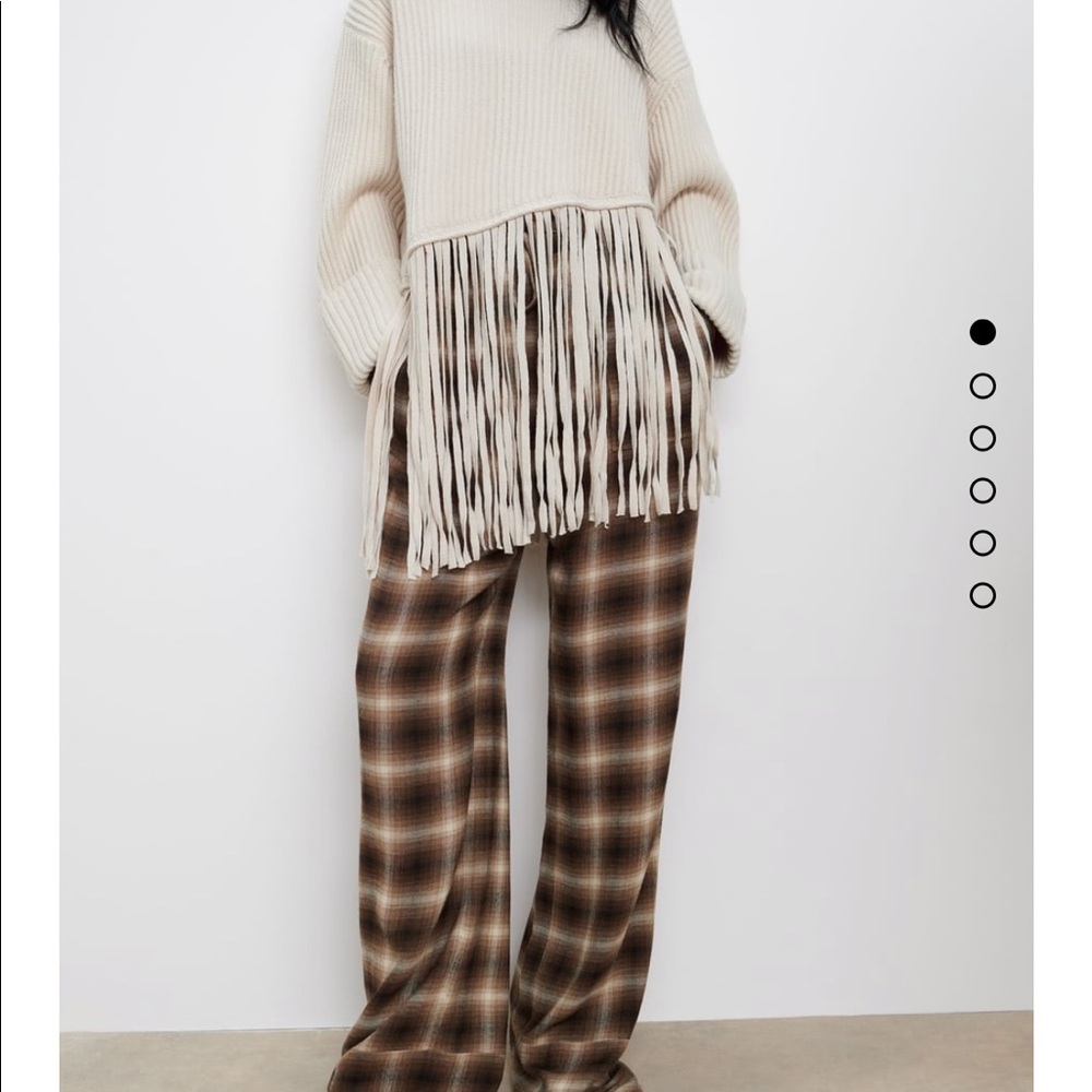 Blogger favorite Zara fringed sweater tunic